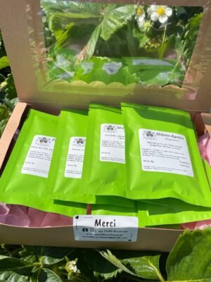 Box Découverte