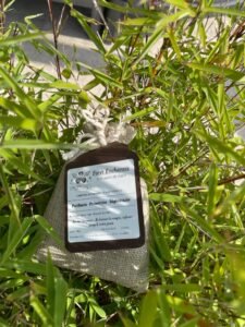 Infusion de Bain « Forêt Enchantée » – Ancrage & Renouveau végétal