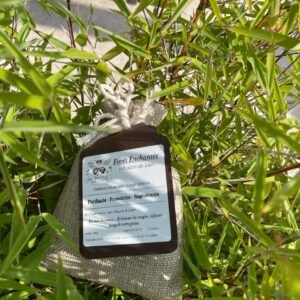 Infusion de Bain « Forêt Enchantée » – Ancrage & Renouveau végétal