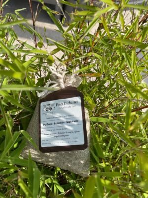Infusion de Bain « Forêt Enchantée » – Ancrage & Renouveau végétal