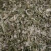 Infusion de Bain « Forêt Enchantée » – Ancrage & Renouveau végétal
